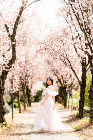 A dreamy scene of a person in a flowing white dress standing on a path beneath blooming cherry blossom trees.
