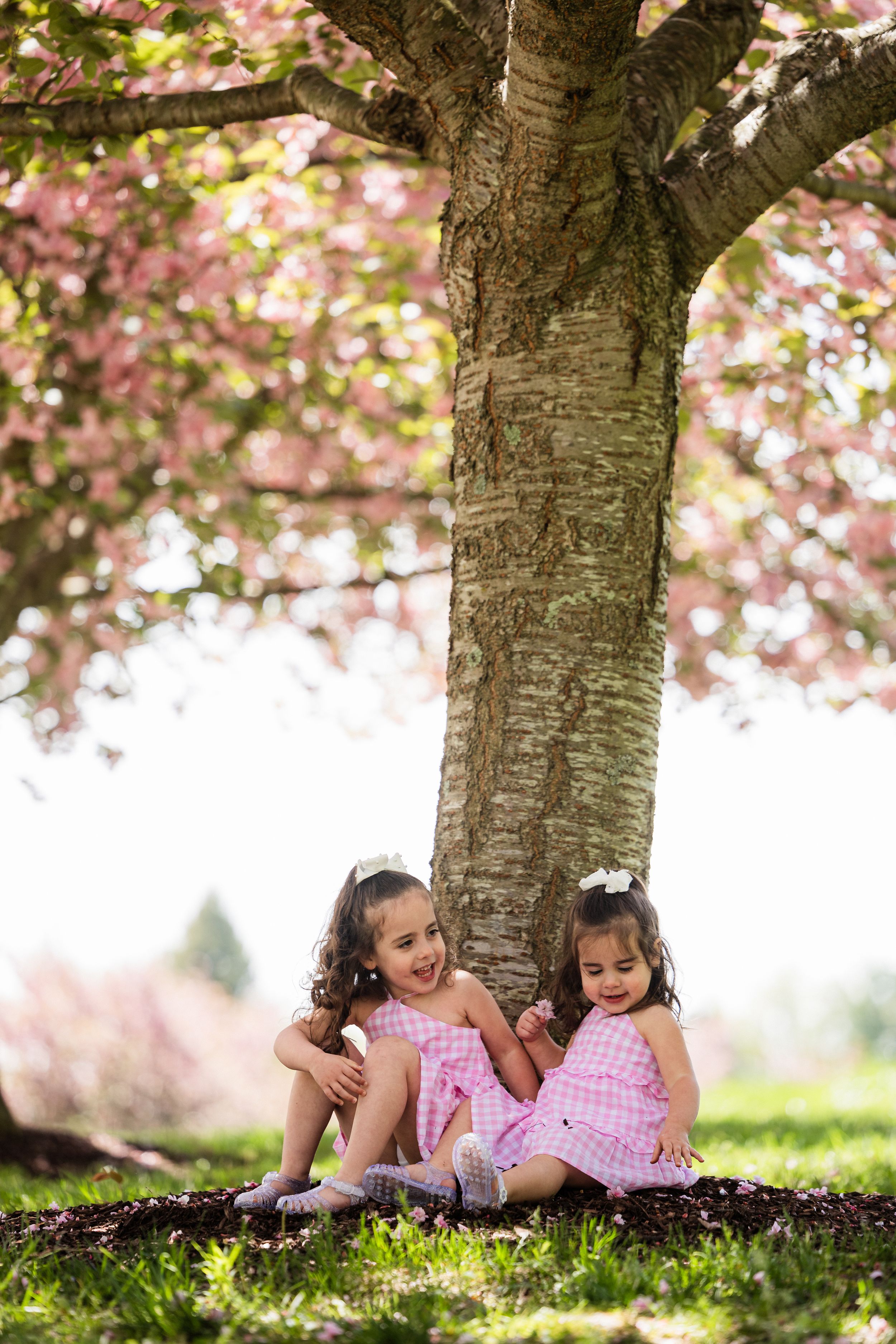 Two young children in matching pink dresses sit under a cherry blossom tree on a spring day.