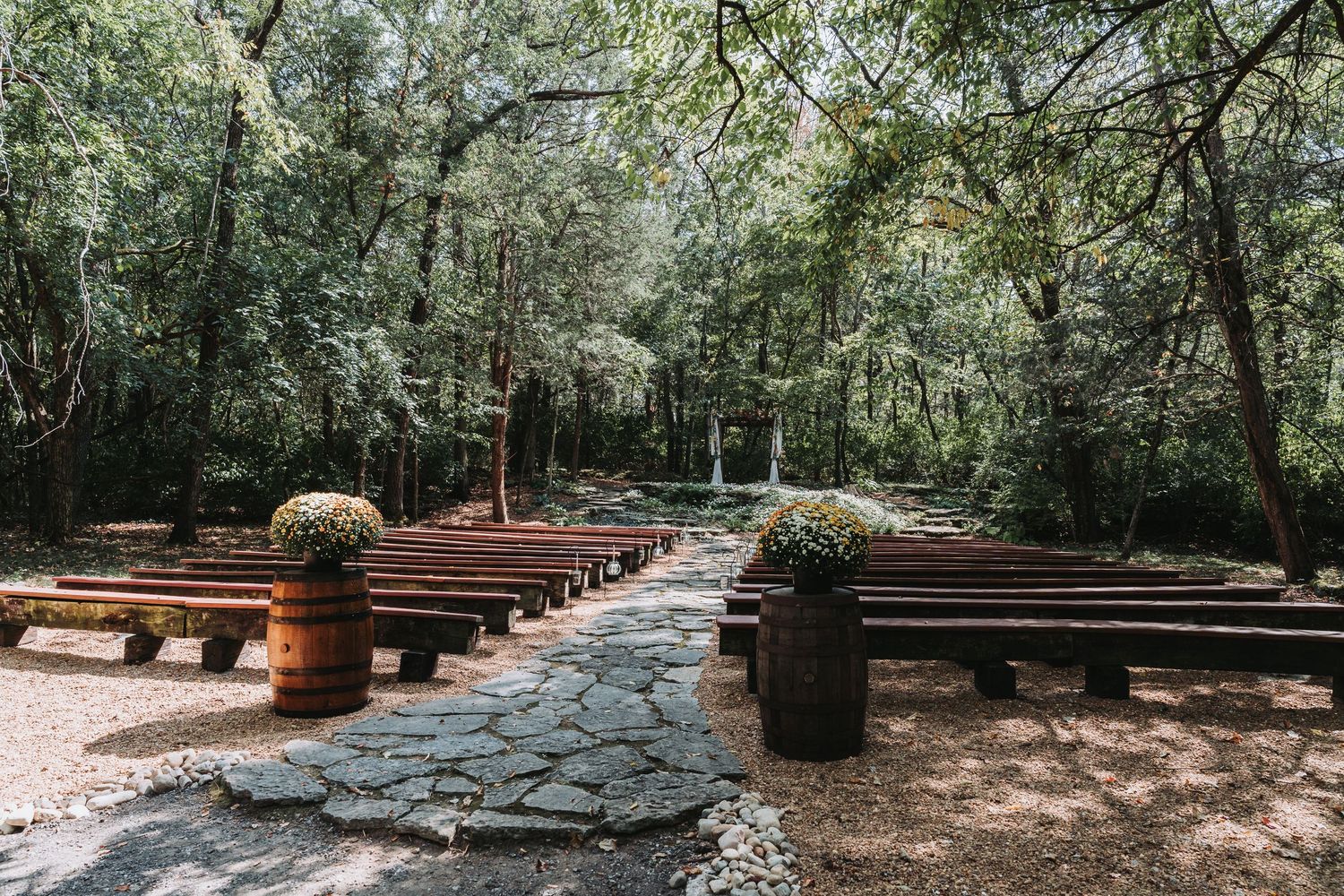 A shaded pathway winds through a lush forest with sunlight filtering through trees and yellow flowers along the sides.