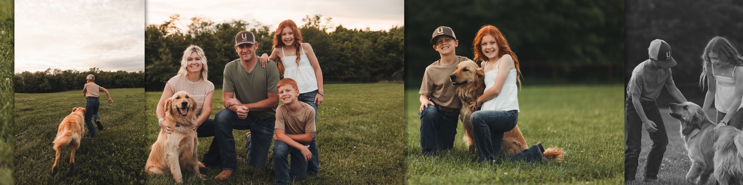 Three family portraits in nature with golden retrievers showing people sitting together outdoors on grass at sunset.