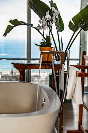 Luxury freestanding bathtub with floor-to-ceiling windows, tropical plants, and ocean view in elegant bathroom.