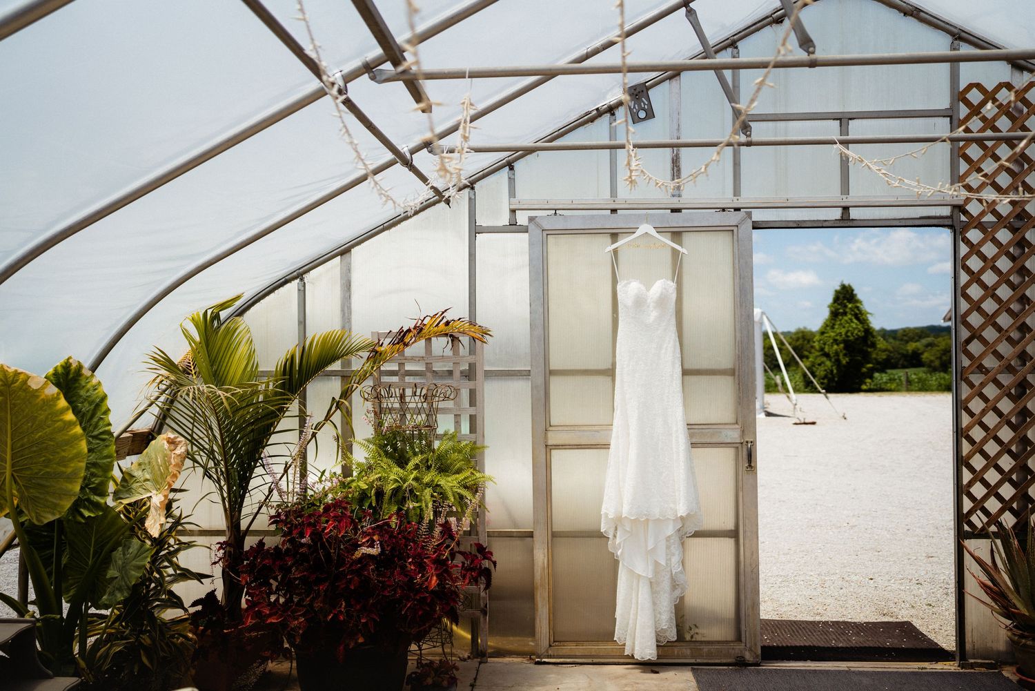 A white wedding dress hangs gracefully in a greenhouse surrounded by tropical plants and natural light.