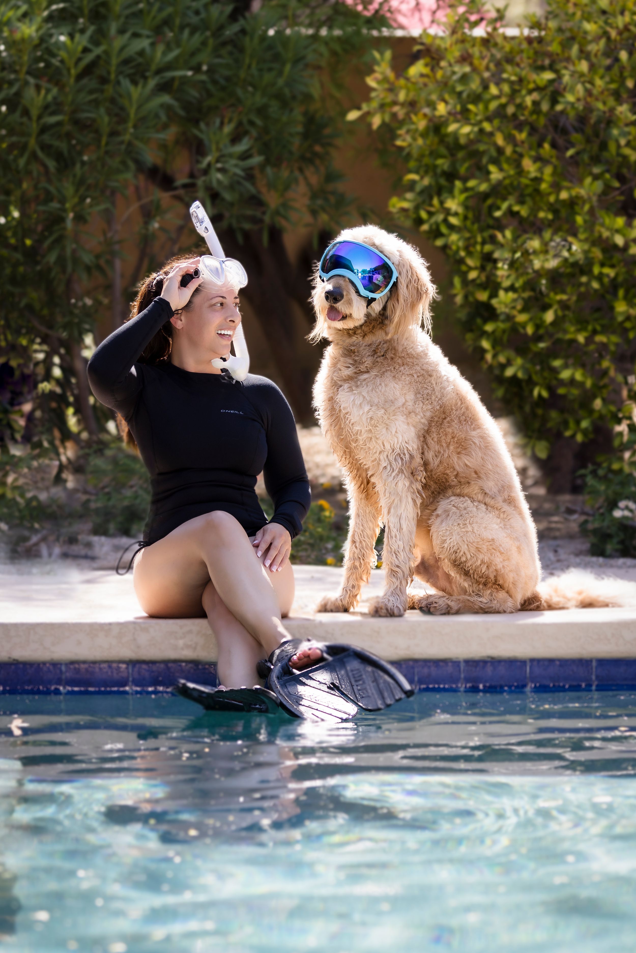 A playful sequence shows a dachshund dog wearing goggles joining someone at the edge of a swimming pool.