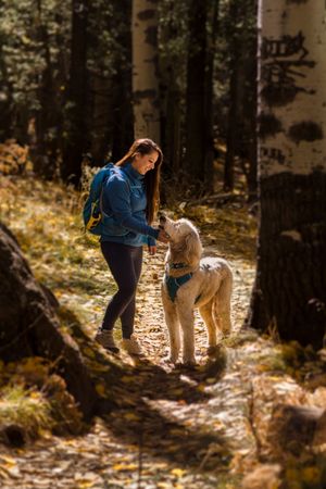 A person in a blue jacket interacts with a fluffy white dog on a sunlit forest path covered in fallen leaves.