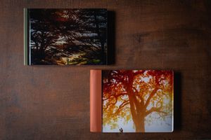 Abstract art gallery wall features multiple framed photographs displaying warm-toned nature scenes on a textured dark wall.