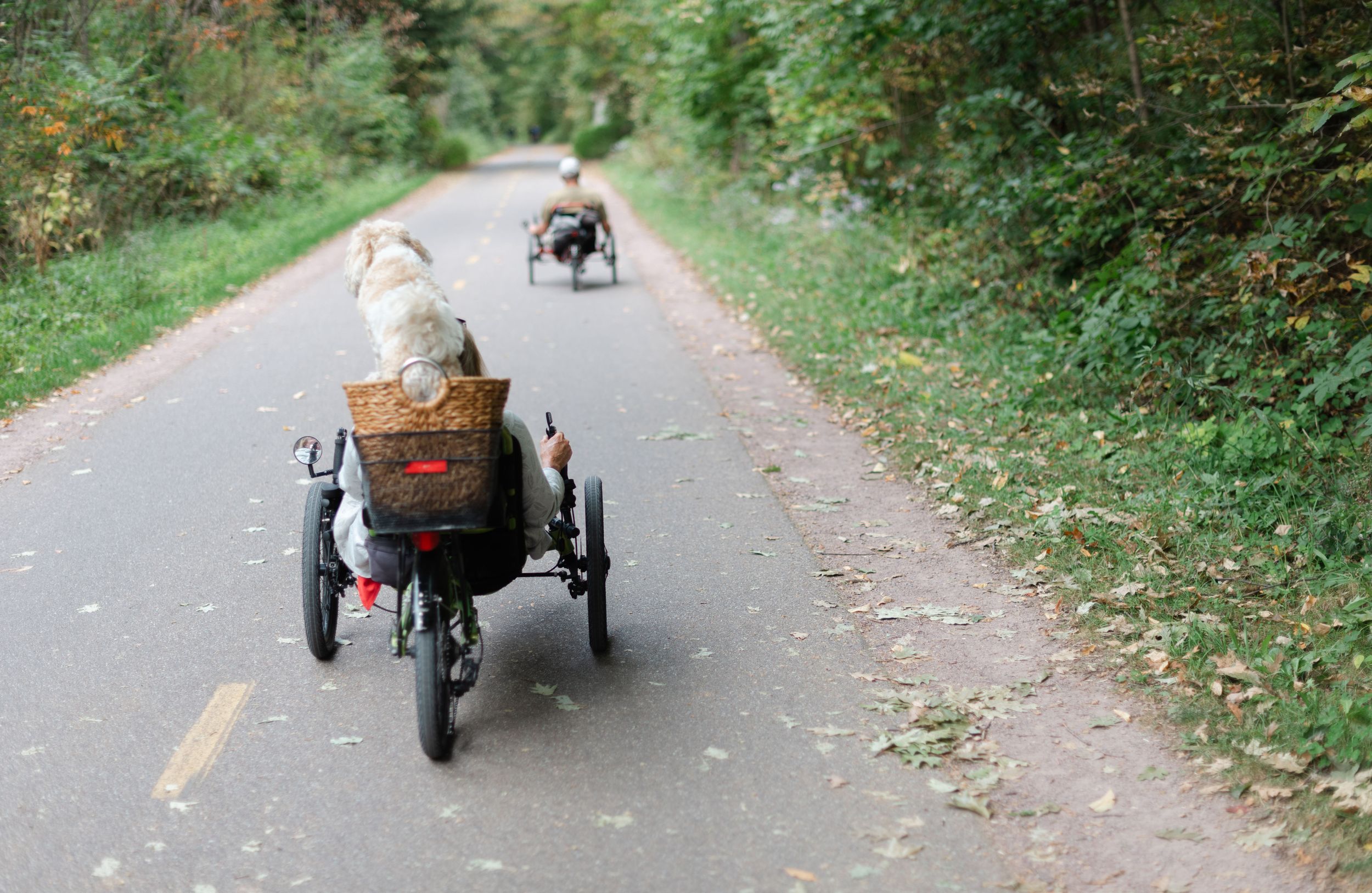Dog is riding in a tricycle bike with his owner.