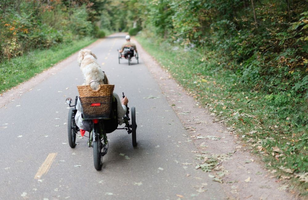 Dog is riding in a tricycle bike with his owner.