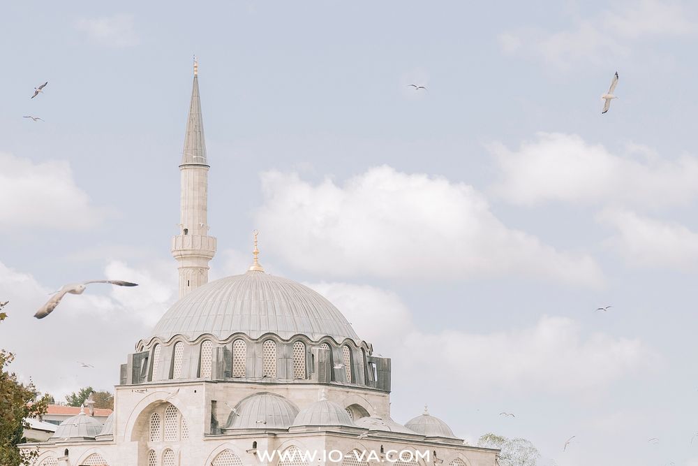 A classic Ottoman mosque dome and single minaret rise above rooftops with seagulls in flight.