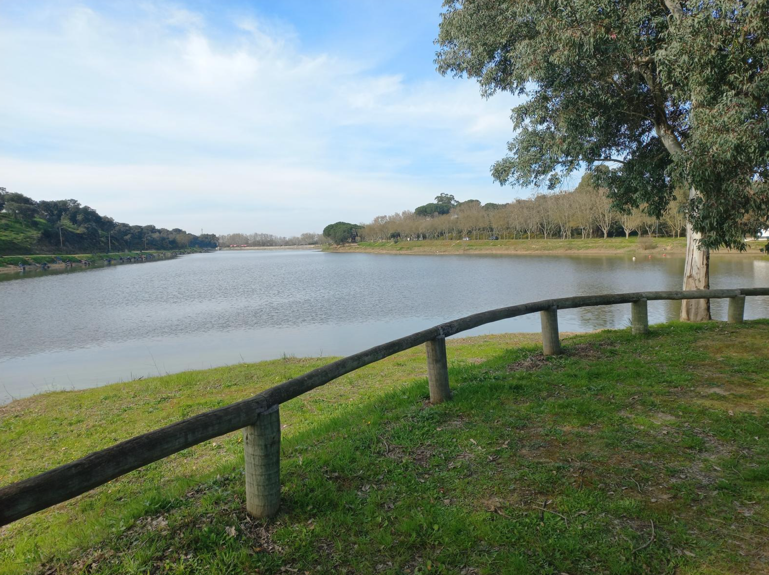 Scenic panorama of grassy lakeside path with wooden fence under blue sky.