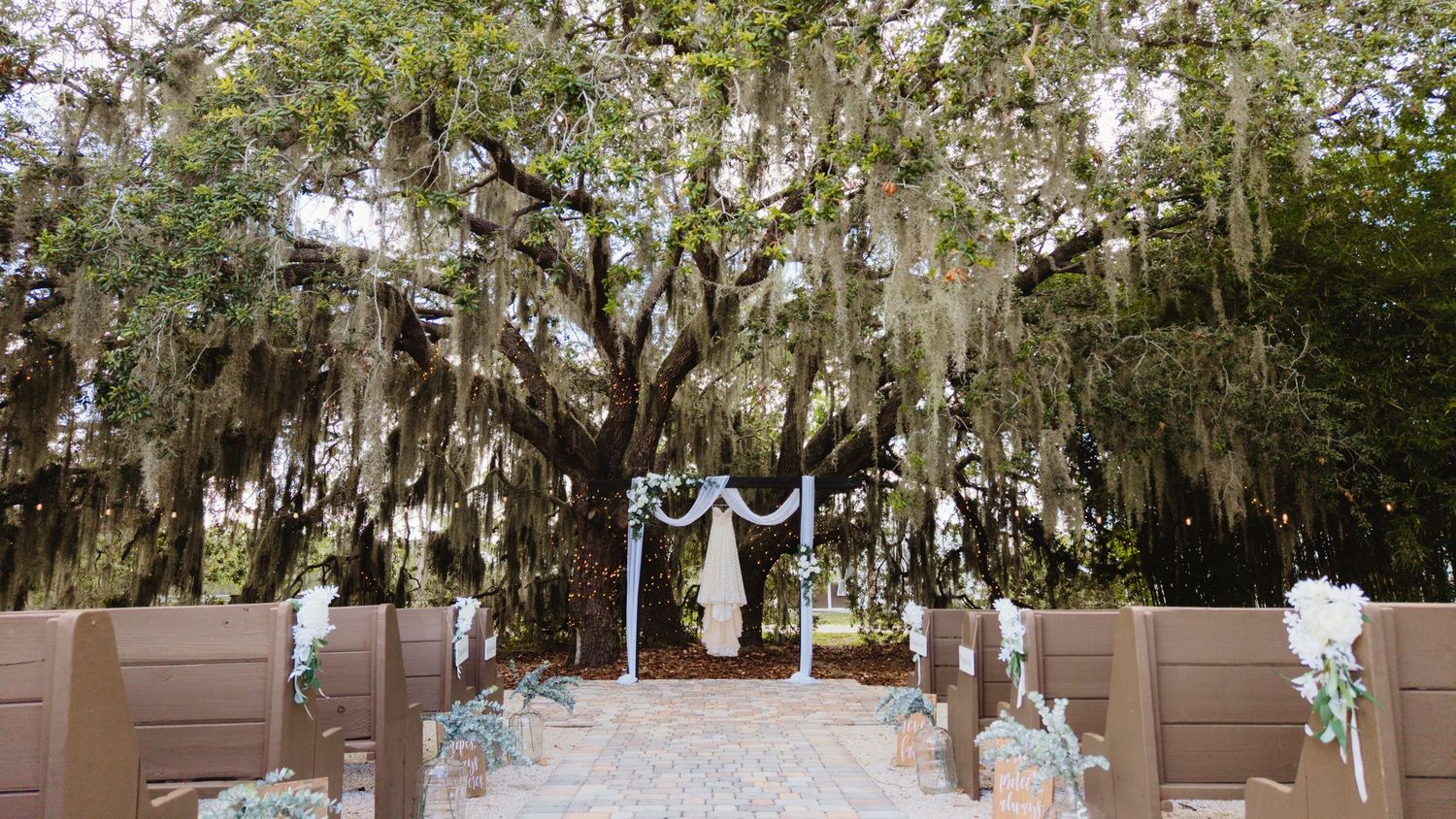 Panoramic view of trees draped with Spanish moss along a winding pathway in a southern garden setting.