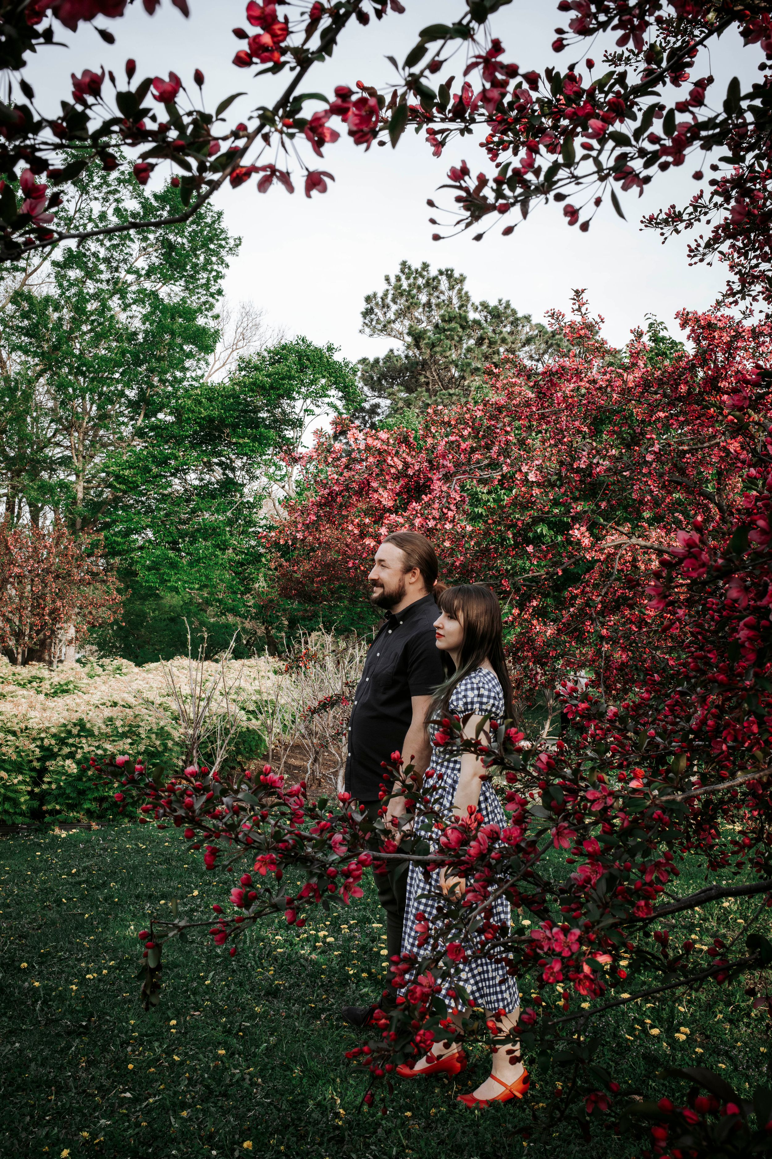 Two people stand among beautiful red flowering trees and green foliage in a spring garden setting.