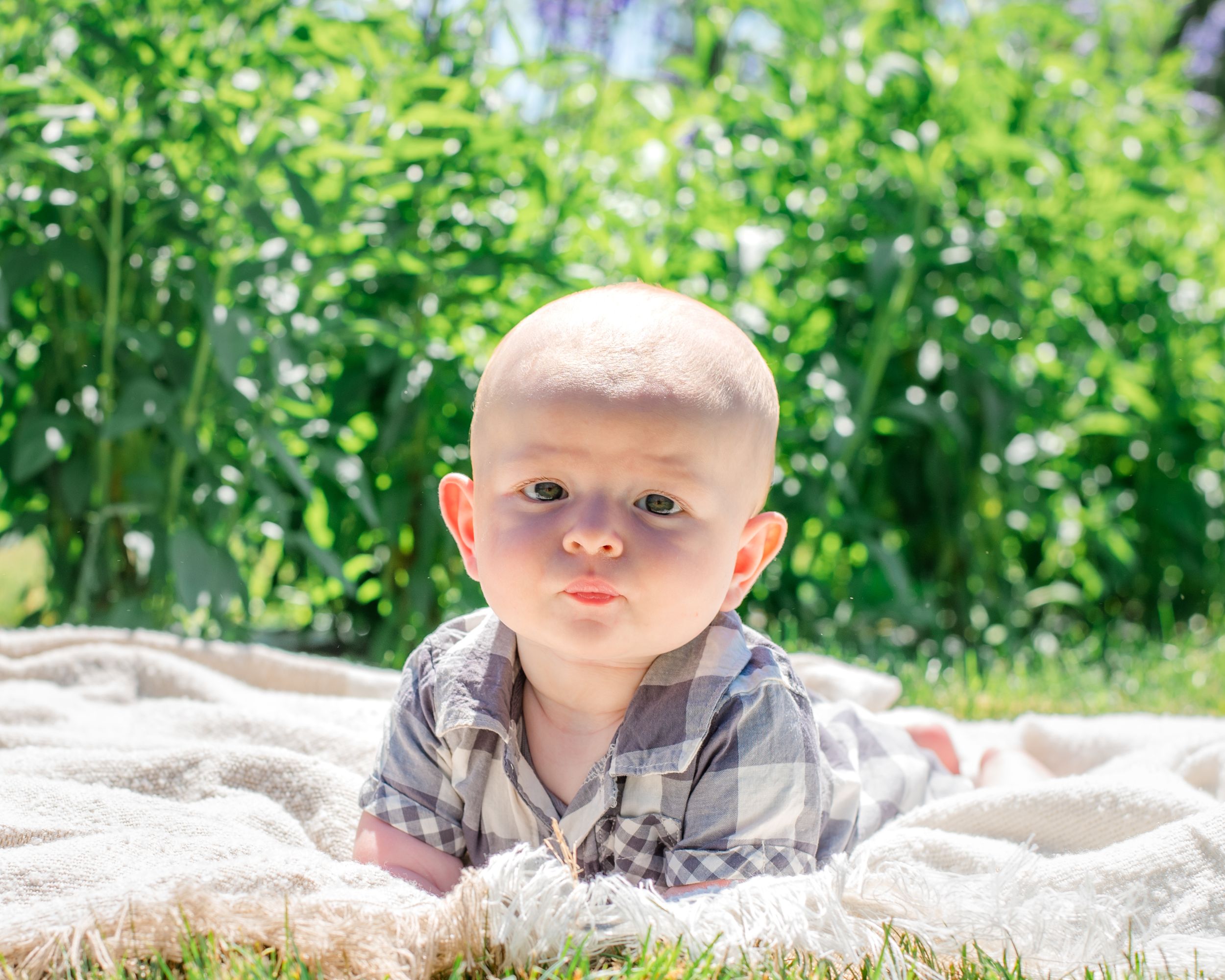 Small child lying on white blanket outdoors in sunlight surrounded by green summer foliage.