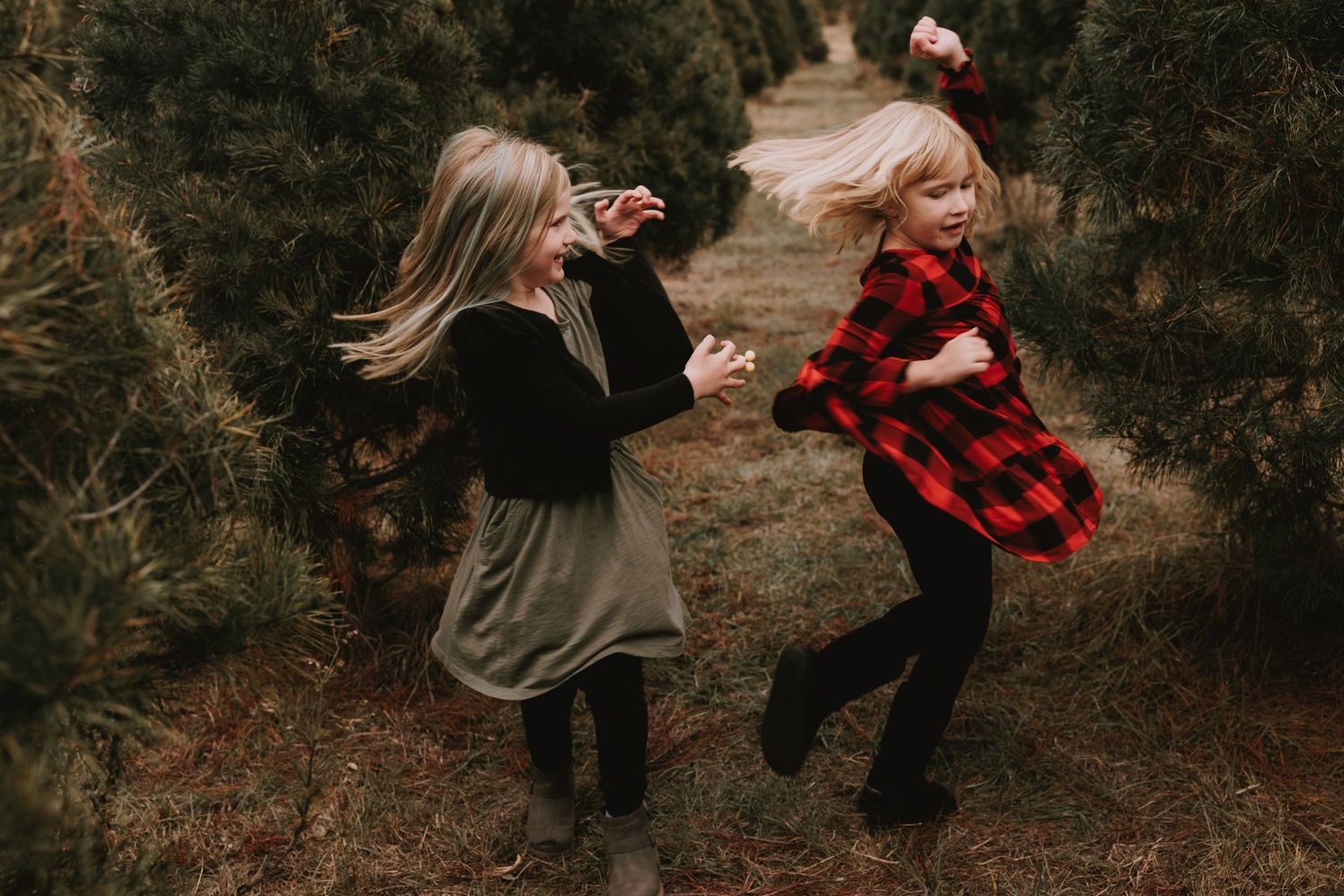 christmas tree farm photoshoot, Tyler, tx