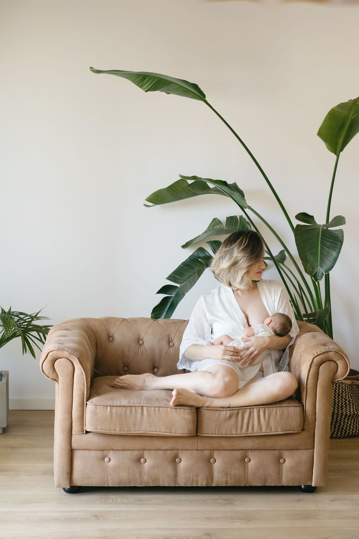 acogedora escena familiar en interior de una madre amamantando a su bebé recién nacido en un sofá chester beige con una planta tropical
