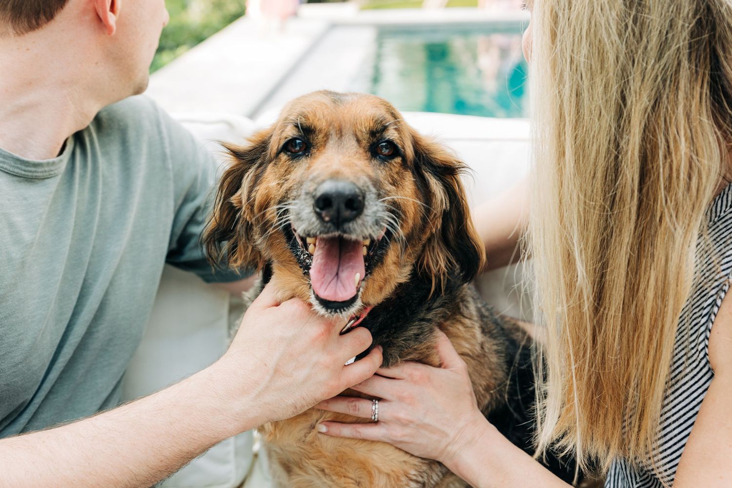 A person pets a happy brown dog with a gray snout while being photographed in an outdoor setting.