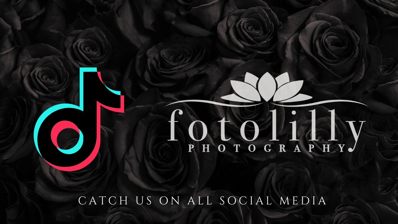 fotolilly photography on all social media apps sharing who we are dallas fort worth quinceanera experts quince photography DFW Quince Photos