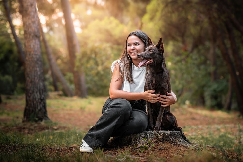 Complicité chien et humain