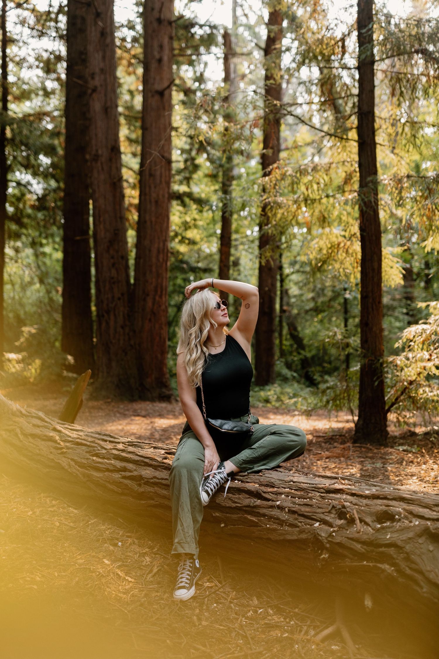 A person in black sits thoughtfully on tree roots in a sunlit forest during golden hour.