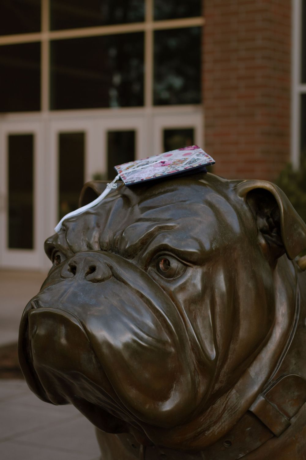Pug statue wearing college graduate cap in front of McCarthey Athletic Center in Spokane, WA