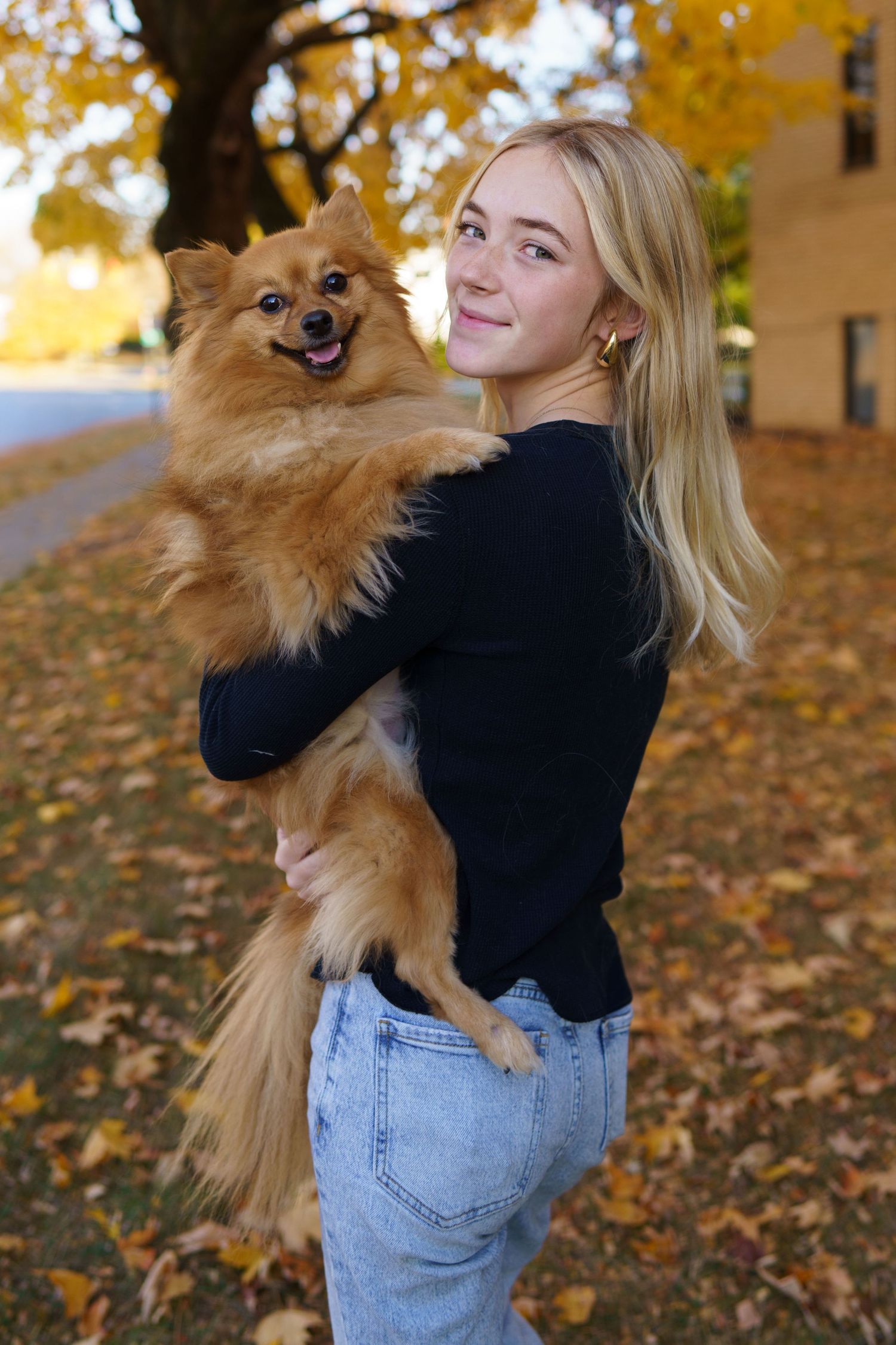 Senior girl and dog surrounded by fall foliage and fallen leaves in Clintonville, Ohio by Jamie Macey Photography
