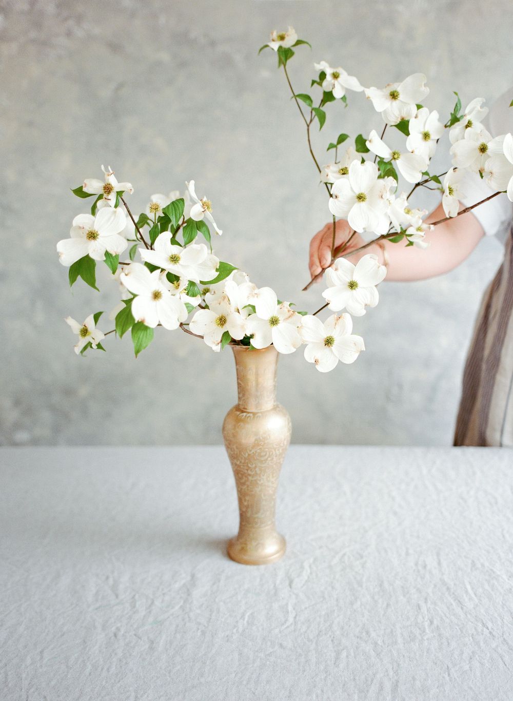 White dogwood blossoms arranged in a tan ceramic vase against a light gray background, with a hand adjusting the flowers.