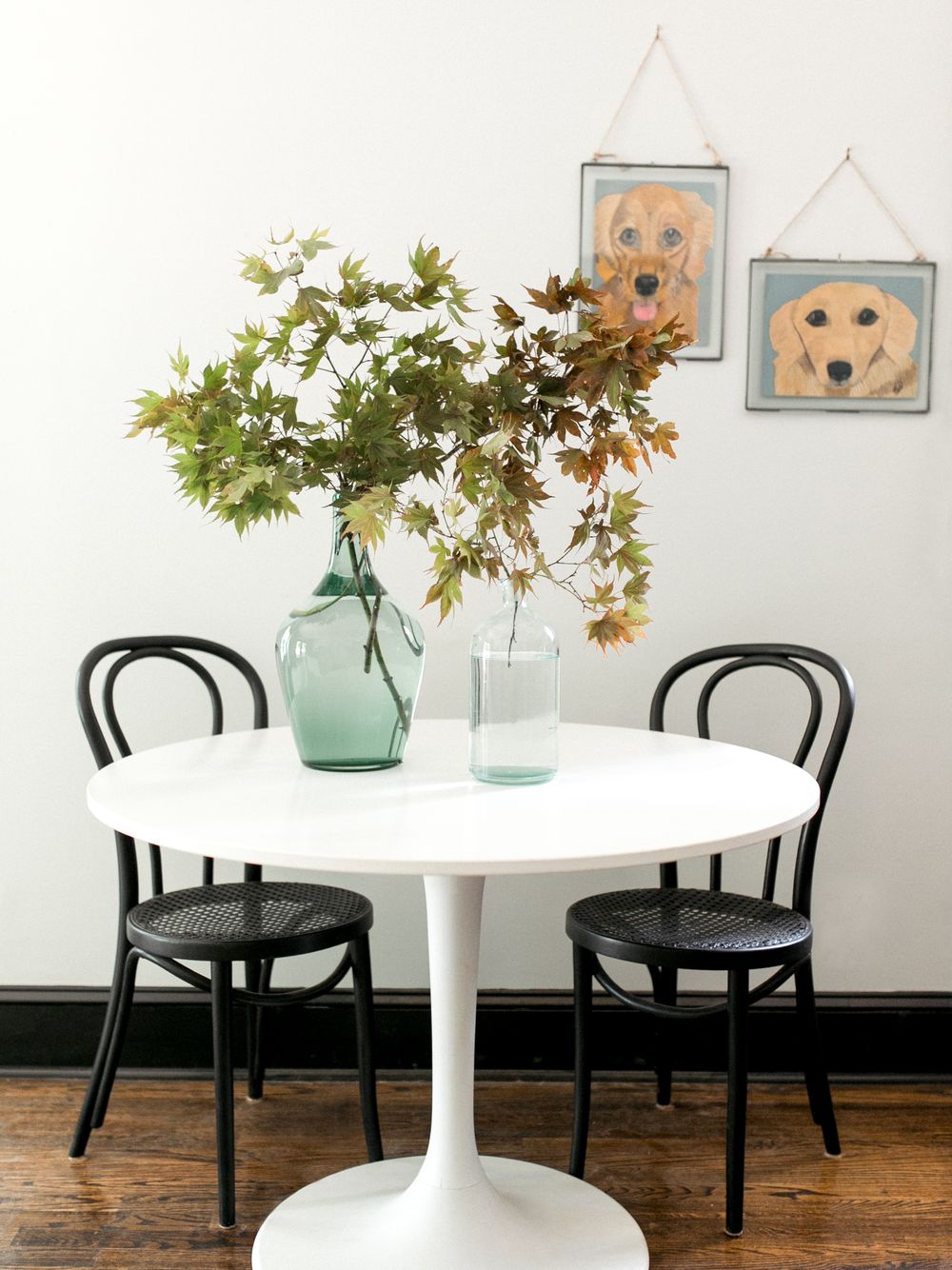 Modern dining area with white tulip table, black bentwood chairs, autumn branches in glass vases, and dog artwork on wall.