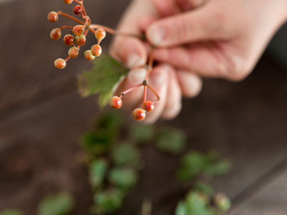 Hands carefully placing small orange berries into a decorative floral arrangement.