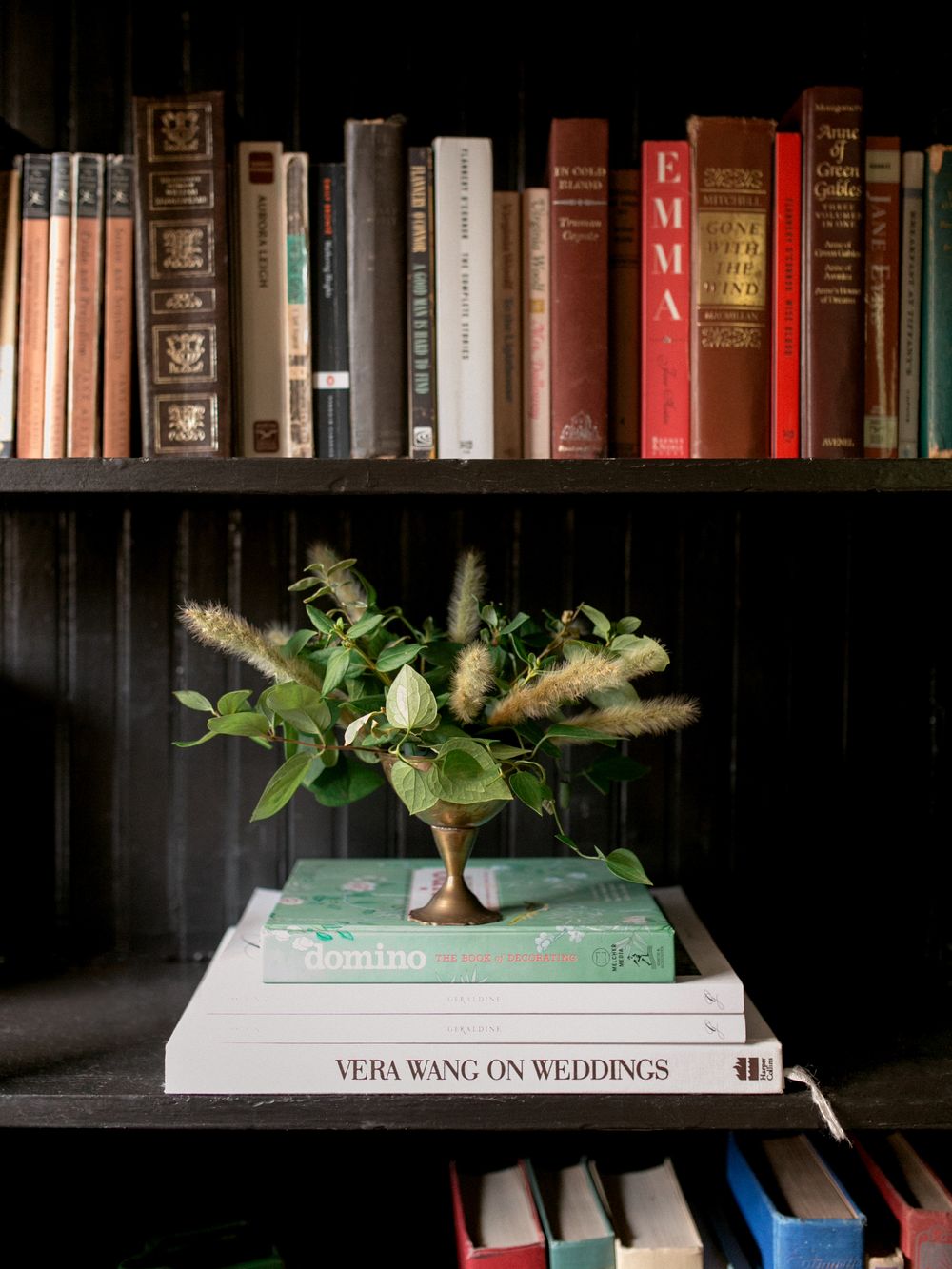 Row of vintage books on a dark shelf with a small green plant placed on top of white books.