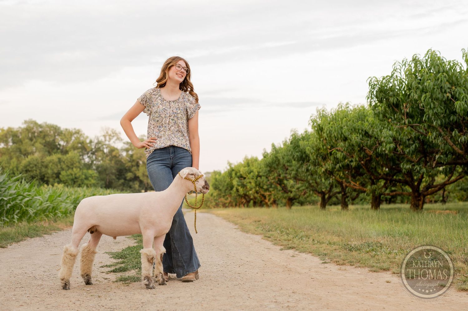 A cream-colored sheep stands on a peaceful dirt path with orchards in view.