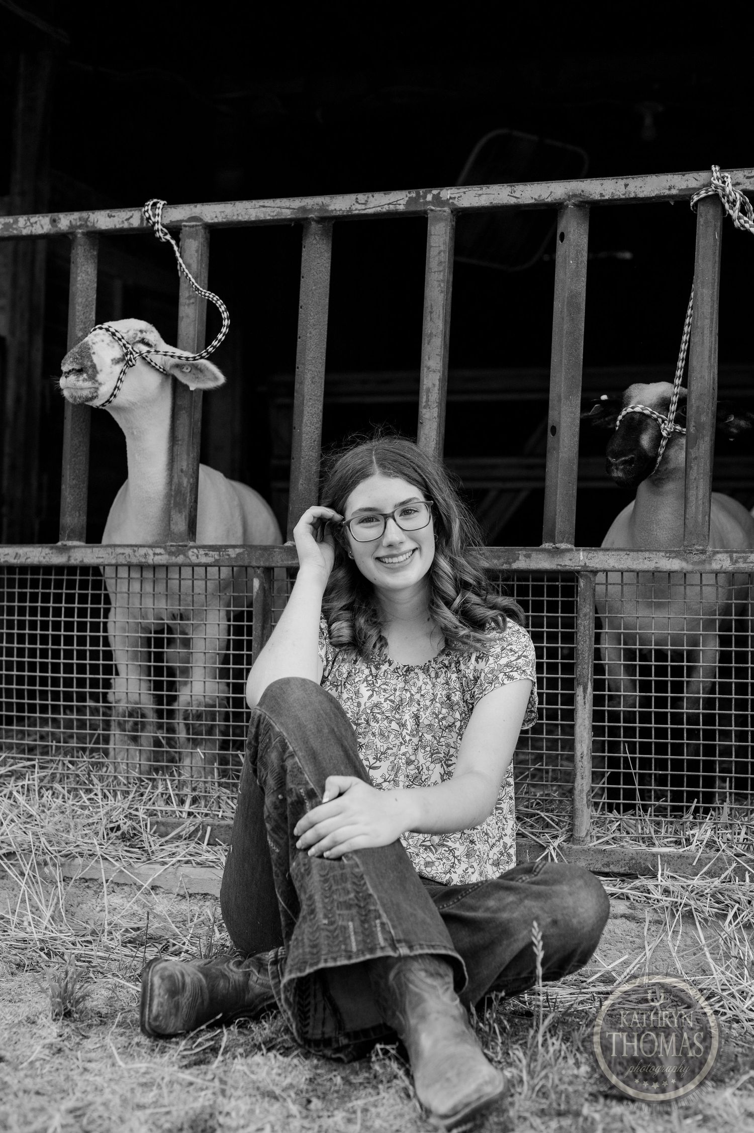 A black and white barn scene with someone sitting on hay bales while show animals peek over the railing.