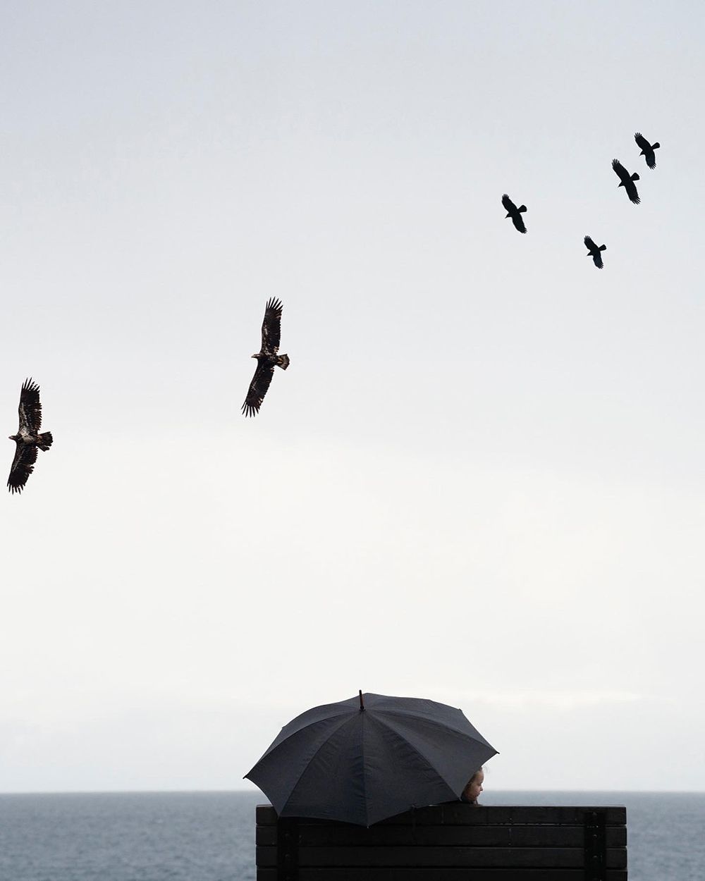 Someone sitting on a bench by the ocean with and umbrella and birds flying by.