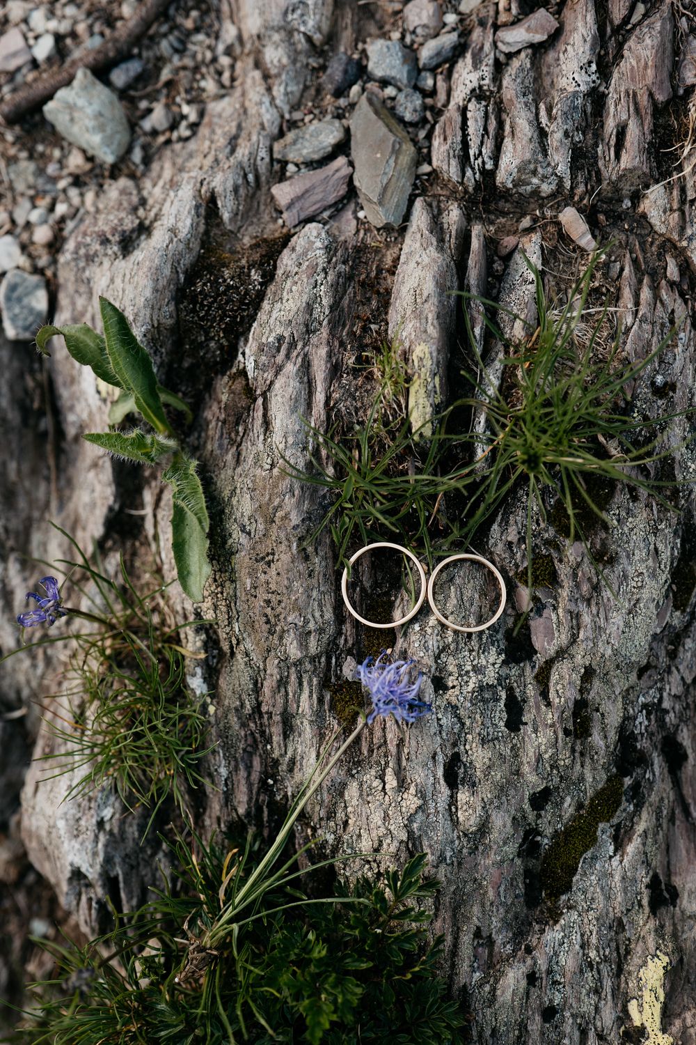 Two silver wedding rings rest on textured tree bark with small blue flowers and green foliage in the background.
