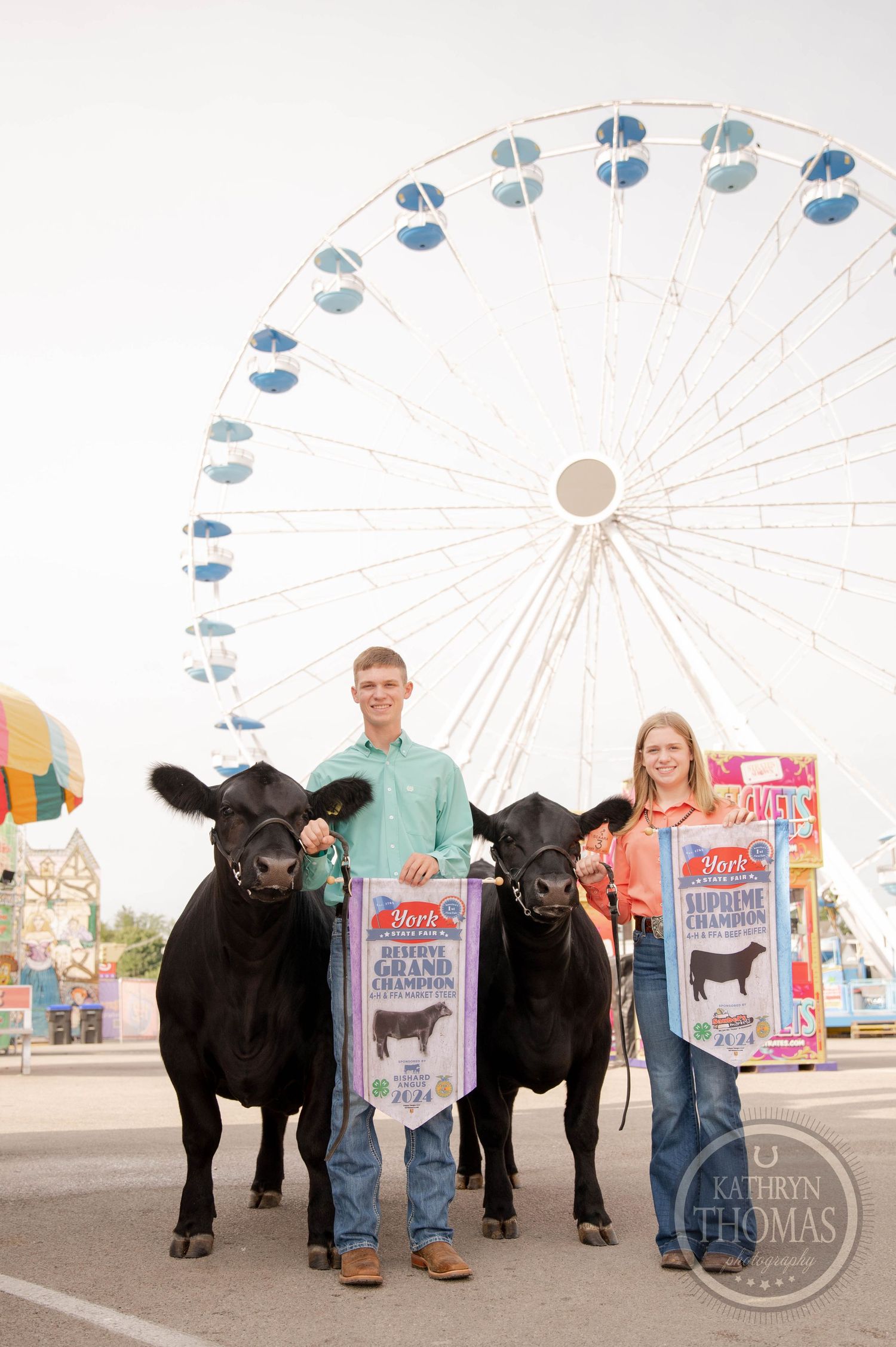Prize-winning cattle displayed with their handlers in front of a Ferris wheel at York State Fair.