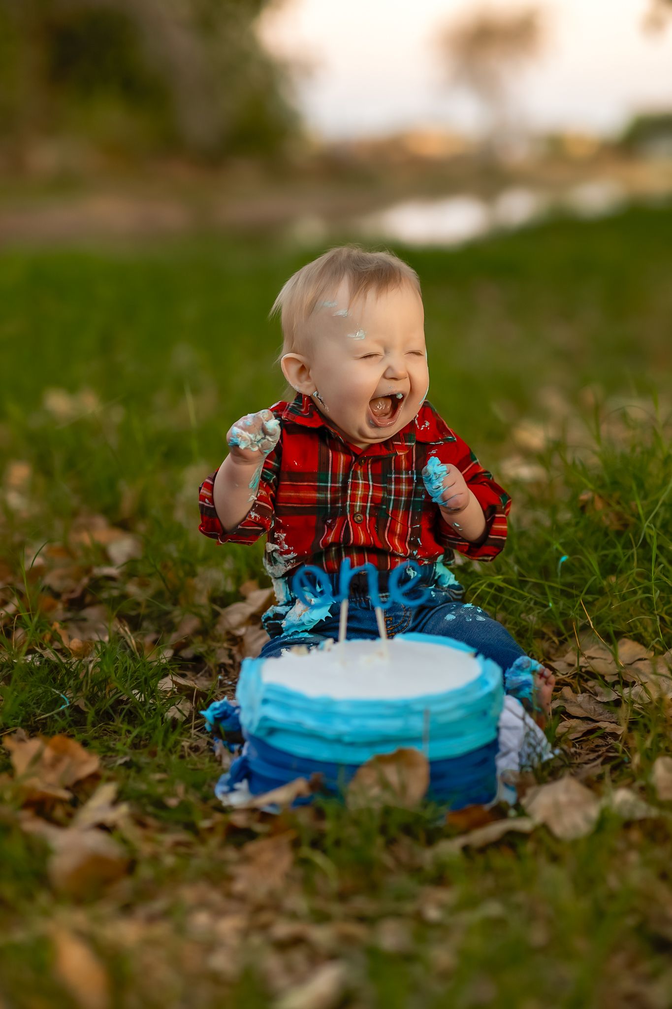 Joyful toddler in red plaid shirt and blue pants celebrating with a birthday cake outdoors celebrating his first birthday photo session