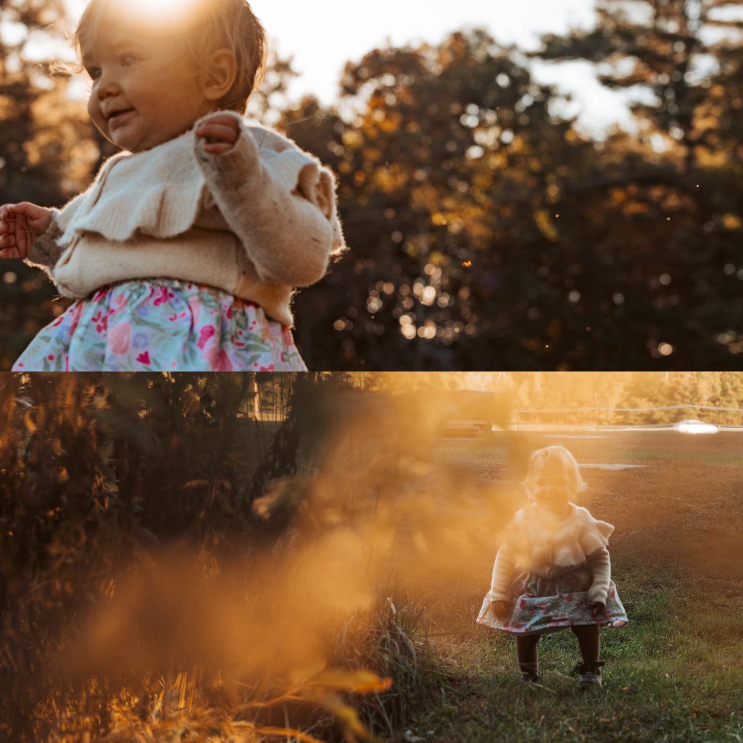Toddler exploring her surroundings in the sunny backyard in Maine