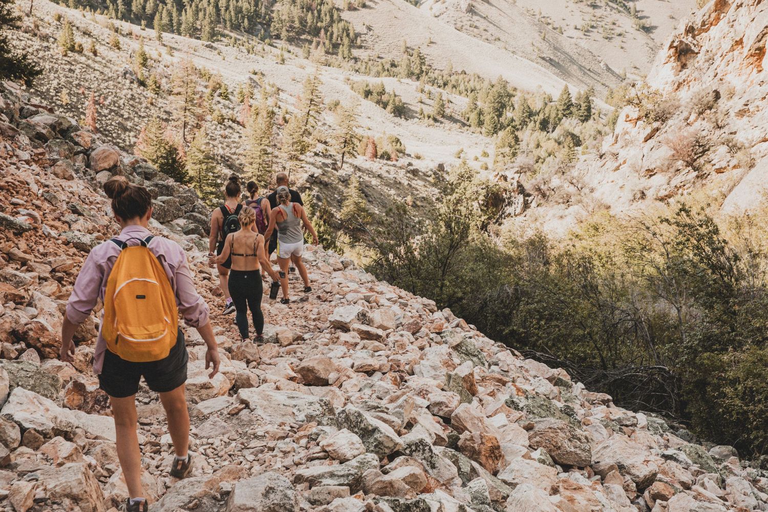Hikers traverse a rocky mountain trail with backpacks against a scenic wilderness backdrop.