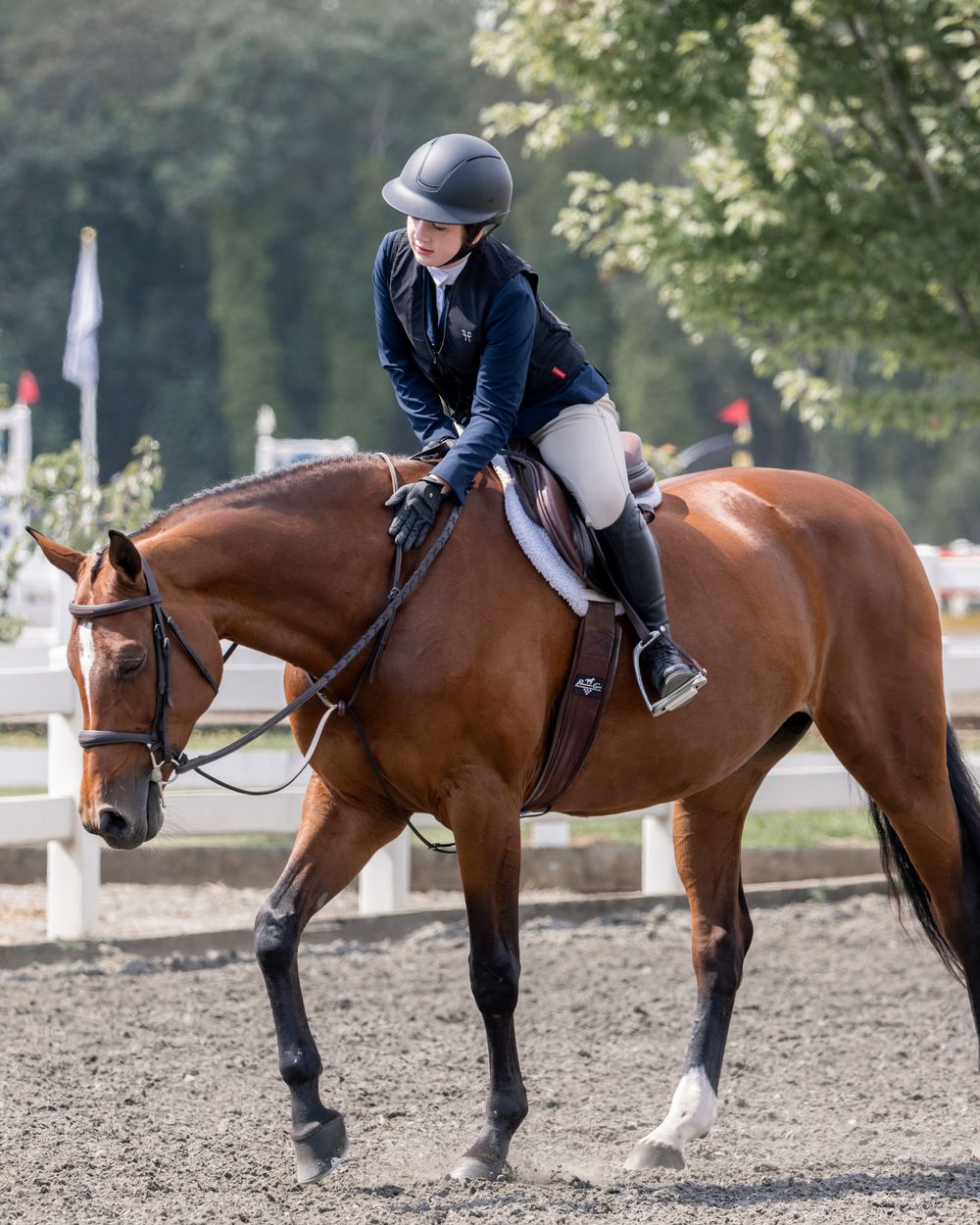 Horse show photo of a warmblood hunter mare and junior rider during a low Childs class in Wilsonville, Oregon Copyright Amanda Barr Photogra
