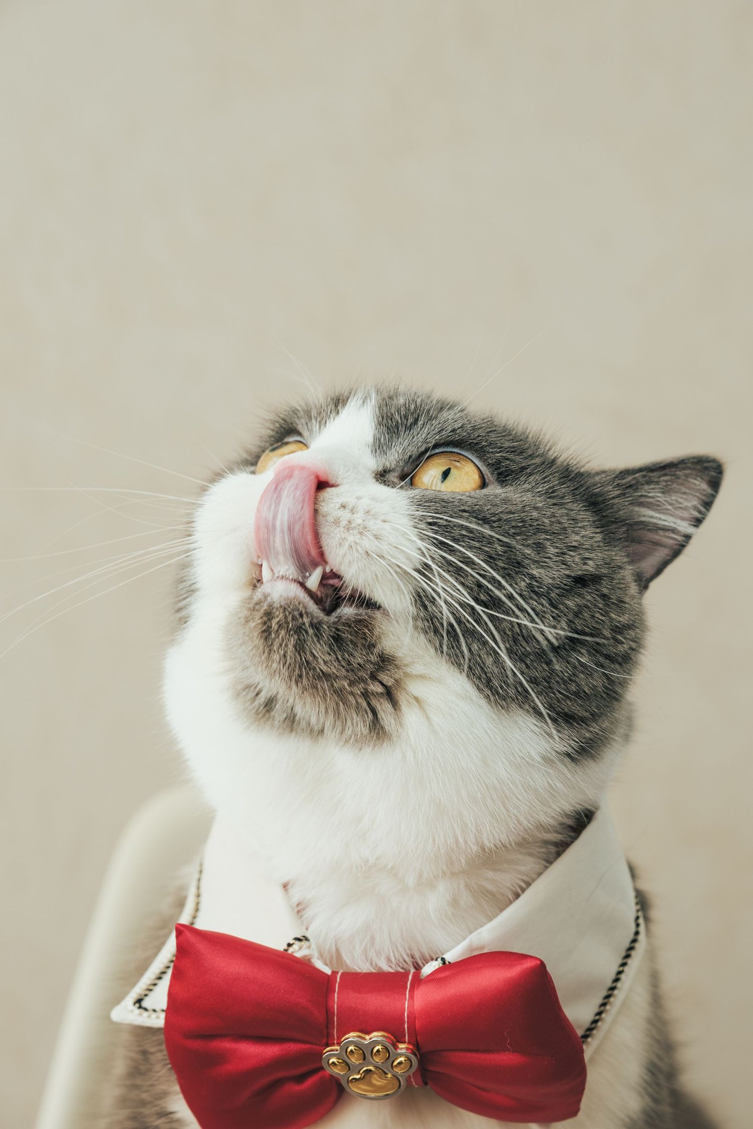 獨寵套餐