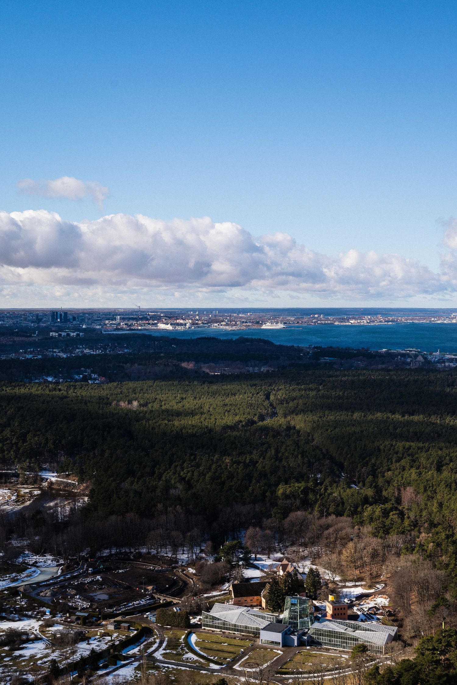 Panoramic winter landscape overlooking coastal city with forests and snowy ground in foreground.