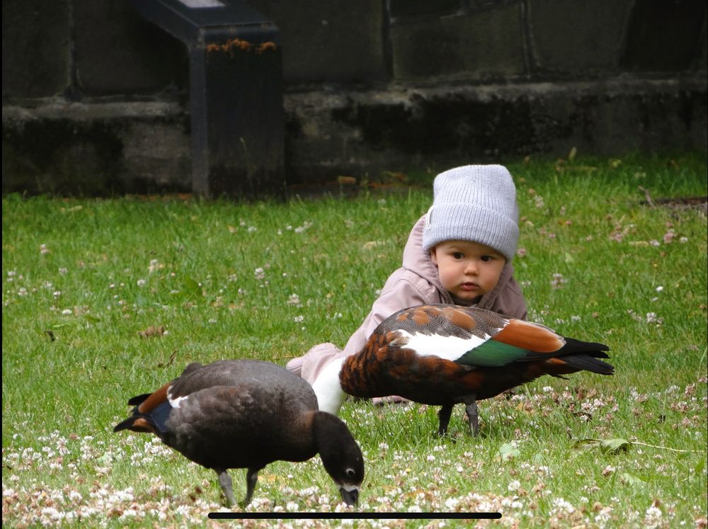 Jackson Media NZ