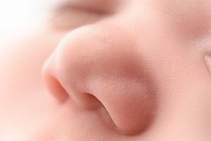 Artistic macro photograph showing soft details of a nose and skin texture.