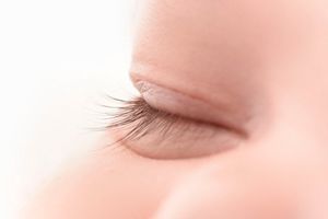 Extreme close-up macro shot of delicate eyelashes against peachy skin tones.