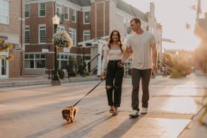 Couple walking their small dog on a city sidewalk during golden hour.