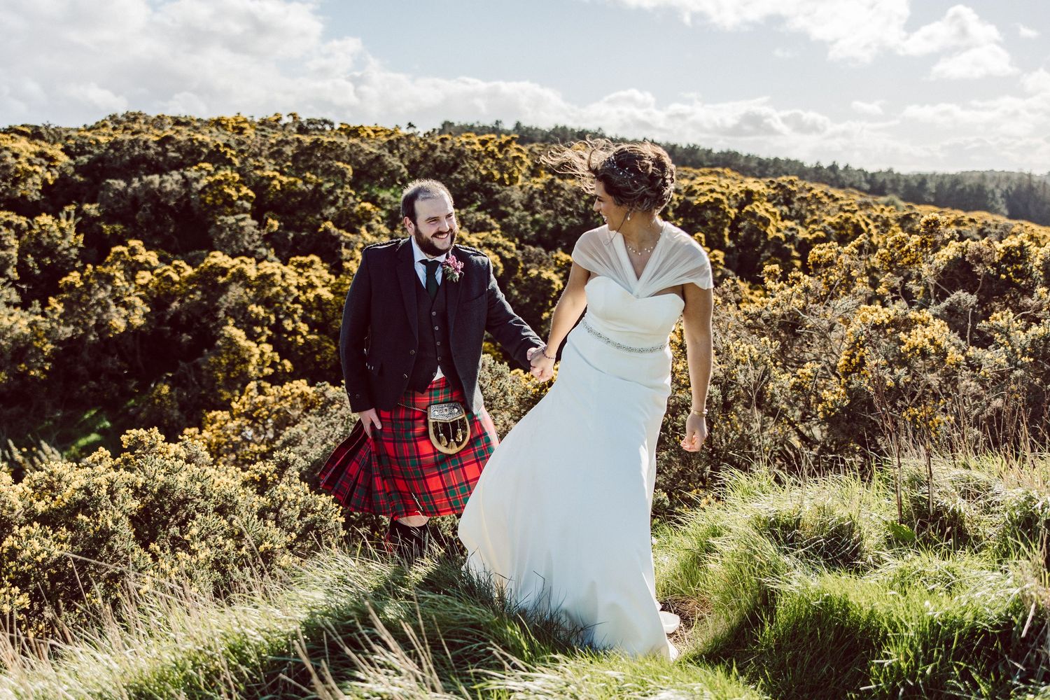 Wedding couple walking hand in hand through Scottish highlands with yellow gorse bushes.