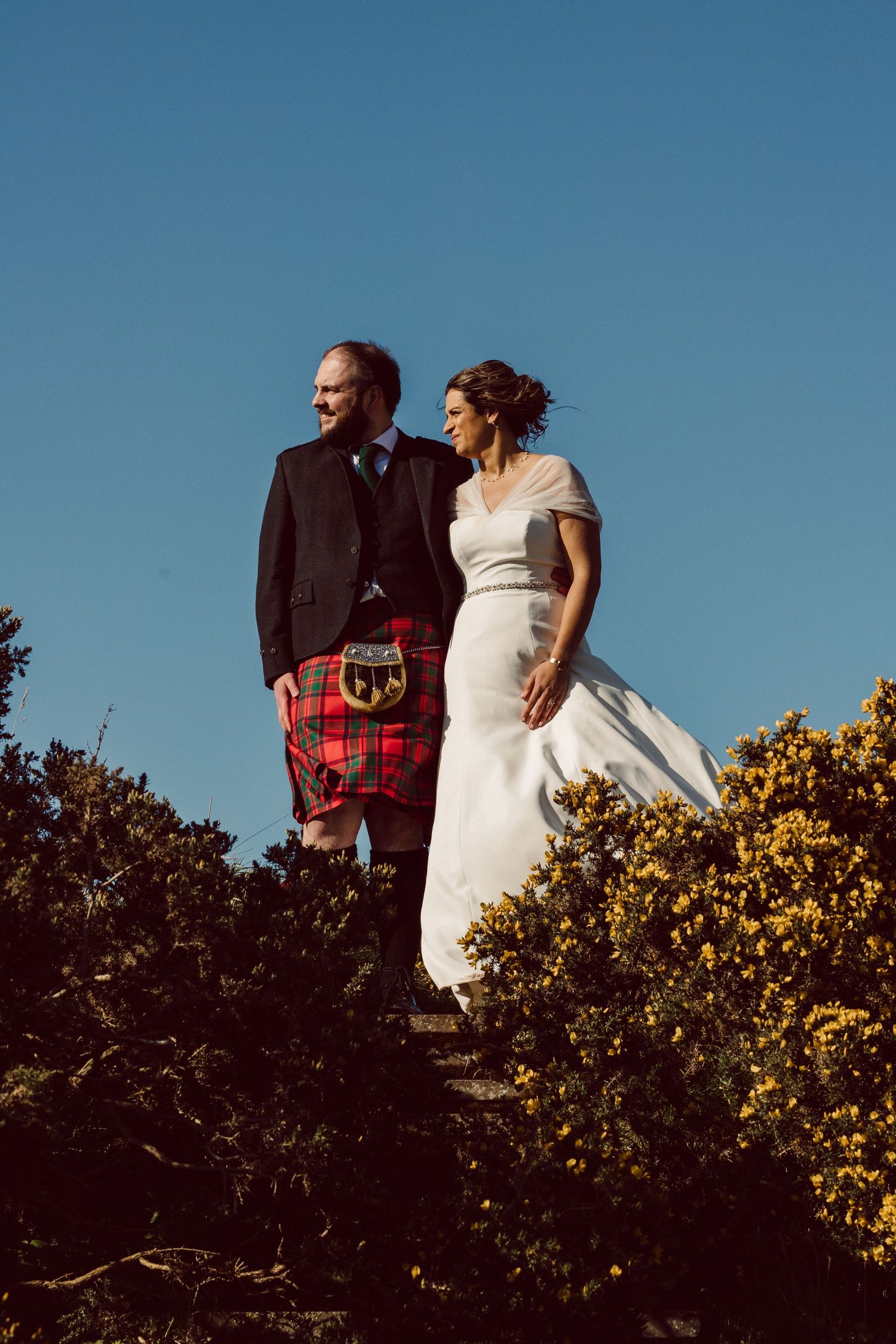 A wedding couple stands together on a hilltop with blooming yellow gorse bushes and blue sky.