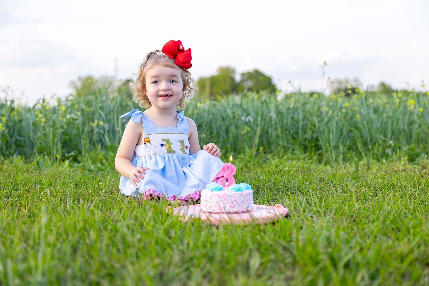 Young child in floral dress sits among wildflowers in a sunny meadow (Mount Olive, NC).