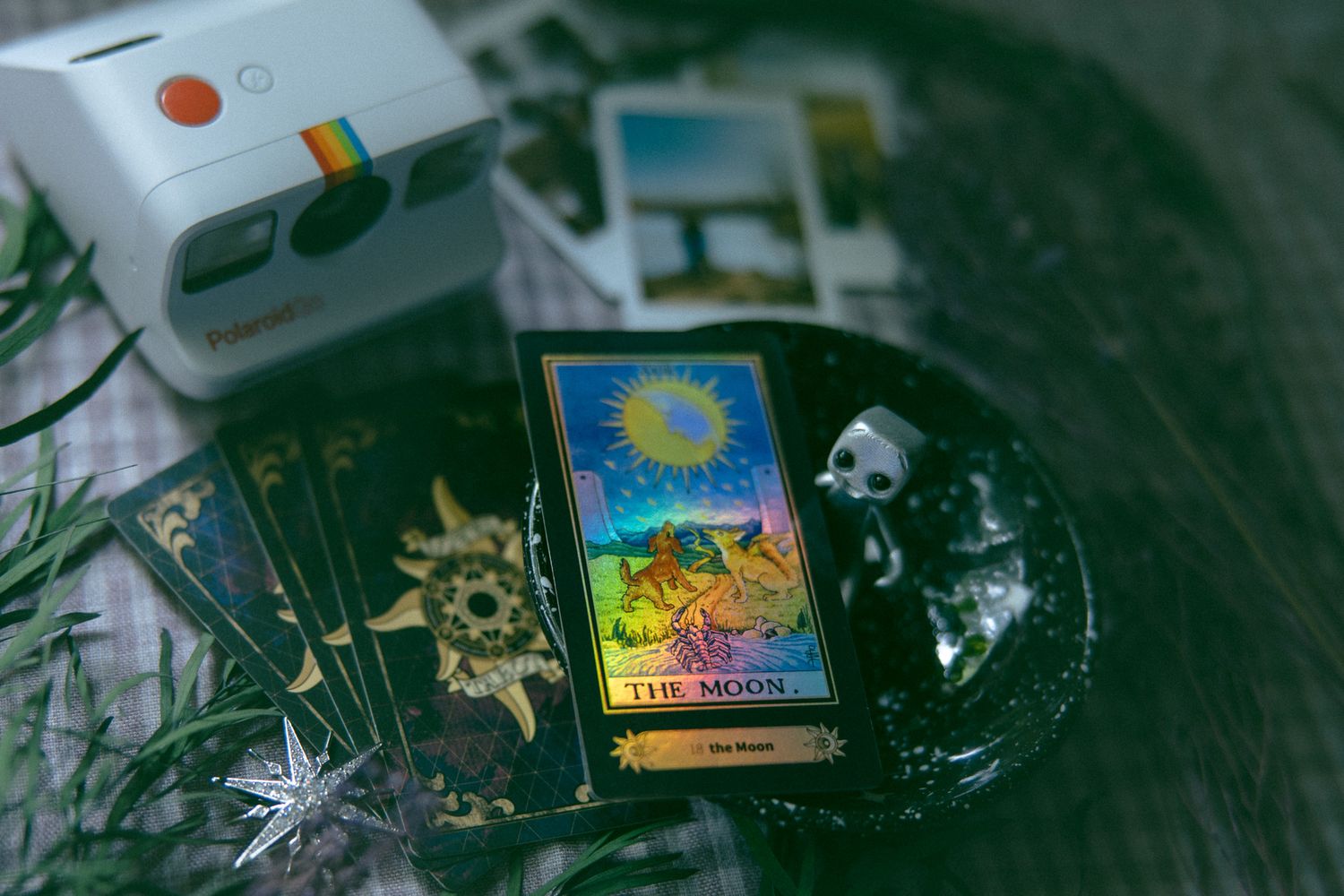 LGBTQ Asheville small business entrepreneur tarot cards display during a professional branding photography session