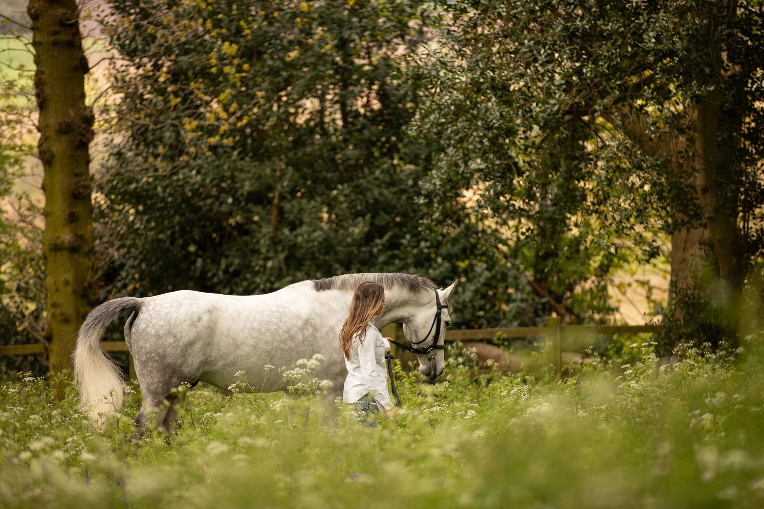A chestnut horse and companion share a tender moment in a meadow filled with yellow wildflowers at golden hour.