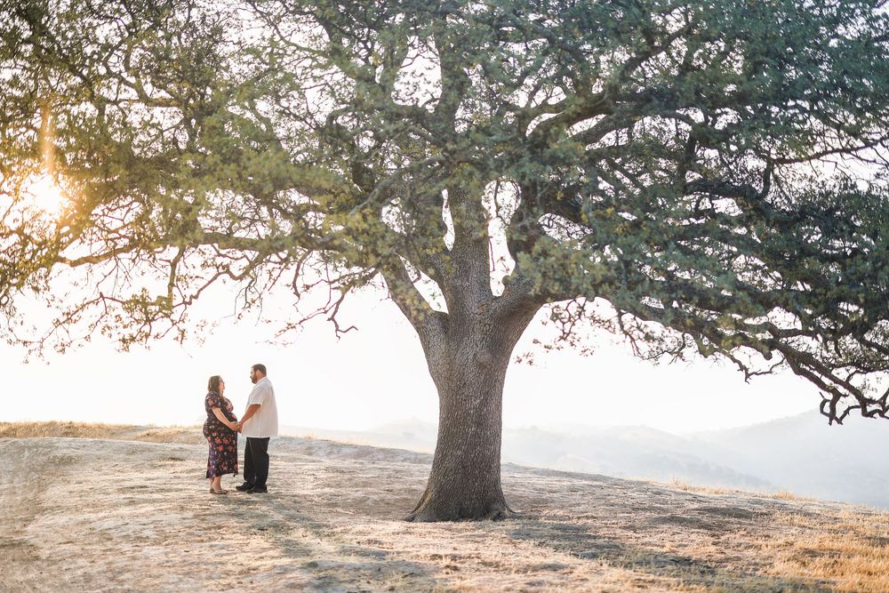 j dhillon photography bay area east bay and central valley family photographer. portrait photographer. Livermore California.