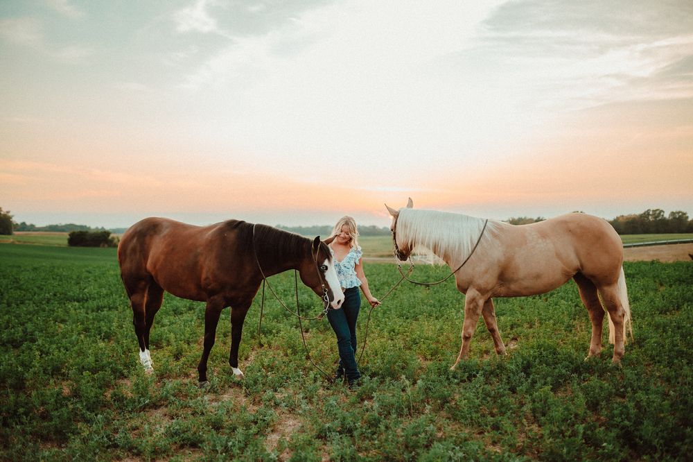 A panoramic sequence of horses grazing in a green field at sunset with their caretaker nearby.